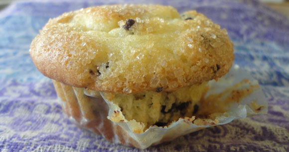 I thought you might want to see that muffin again. 