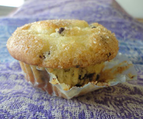 It should be noted that there ARE gluten-free options for things...like this magical, fluffy muffin from my coworker. This muffin kind of inspired this post. 