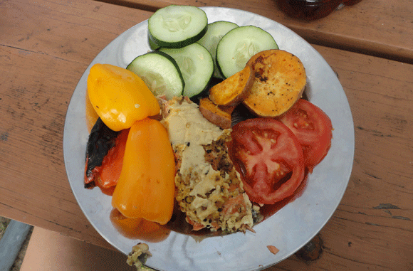 Christine took a picture of our dinner. It was delicious, don’t let the lack of meat-or-gluten fool you. Also! I figured out a really tasty way to make sweet potatoes (as if there’s a not-tasty way): pan fry them until they’re tan, add a bit of water, cover and wait until the water has boiled-and-steamed its way out of there. They’re essentially candied at that point. 