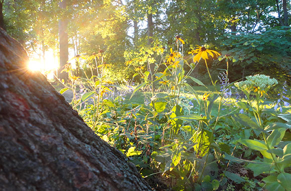 Sunshine and flowers, man.