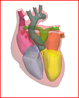 Anatomical heart. This source is actually pretty cool, if you like the science. "I only believe in Science."  Name that movie. 