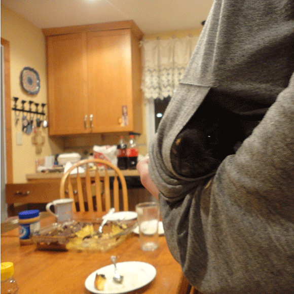 Here's a picture of Kiwi in Joe's hoodie pocket. Snuggly pig! She loves tunnels. 