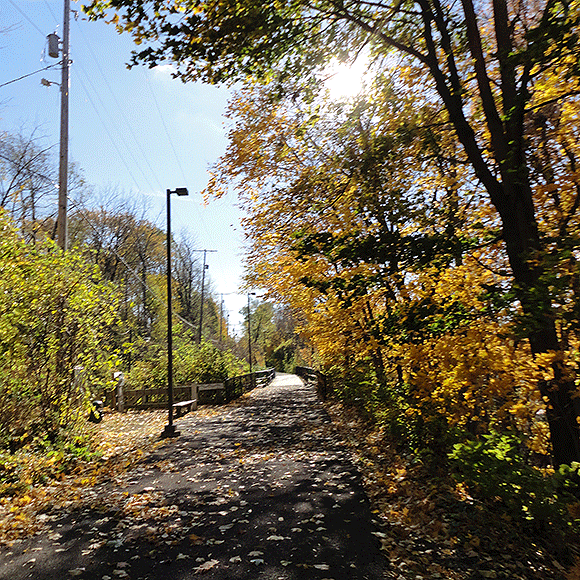 Fall pathway! From Indiana. With Lauren. 