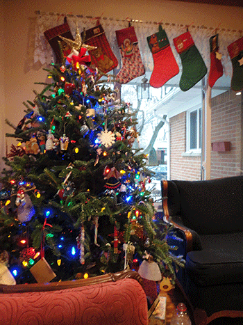 I said some prayers from this perch. I love the tree and the stockings and the lights and the snow slowly falling. :)