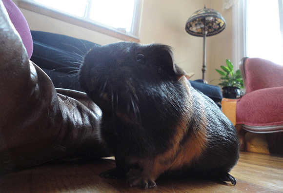 Thinkin' she's the queen. 