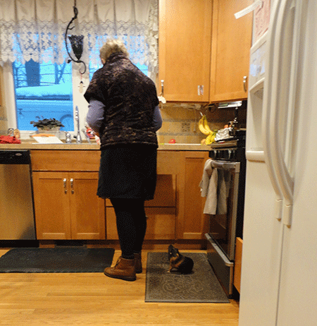 And this is a picture of my Kiwi following my mom around, hoping for snacks but being disappointed because my mom doesn't even love her. But, don't worry. I gave her snacks. 