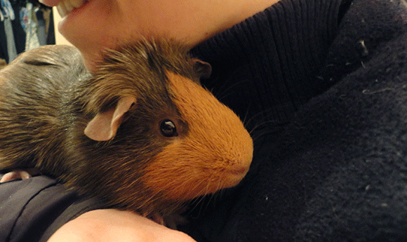 Yes, yes, Franklin, of course. 