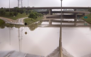 Just so you have an idea--that "bridge" you see over the water is 14 feet high. That's a highway underneath. What what. 