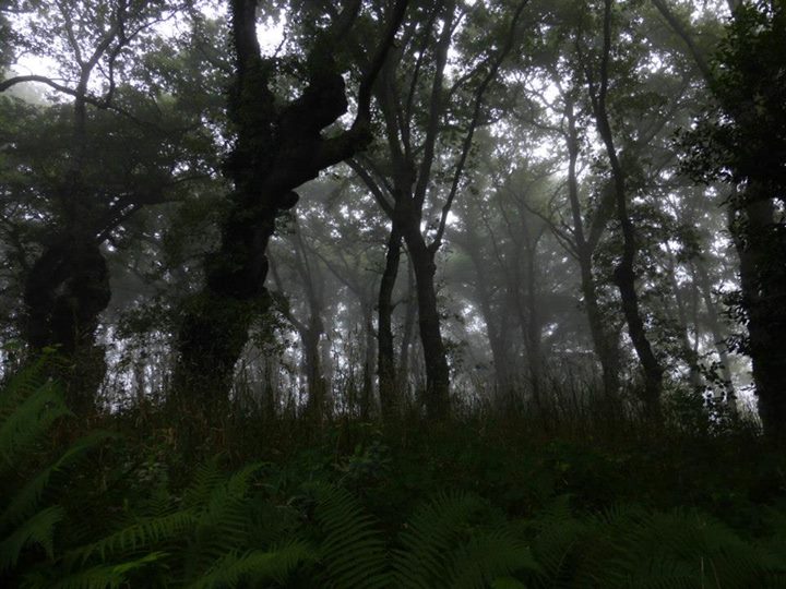 It's beautiful, though. 