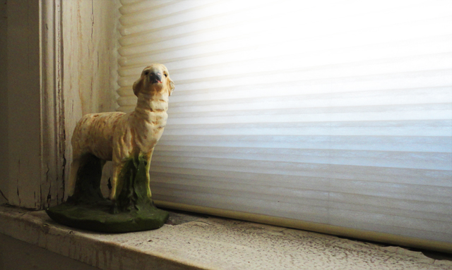And here's a photo of a dusty sheep statue. 