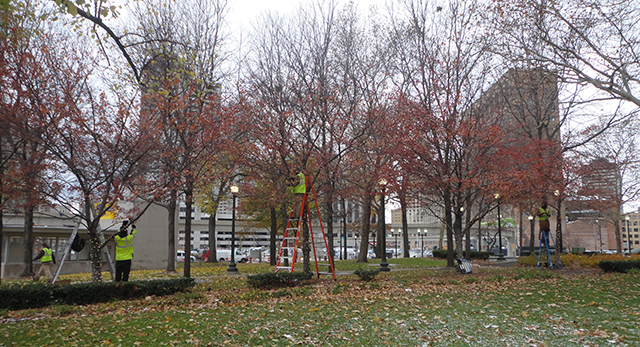 Workers putting up CHRISTMAS LIGHTS. <3