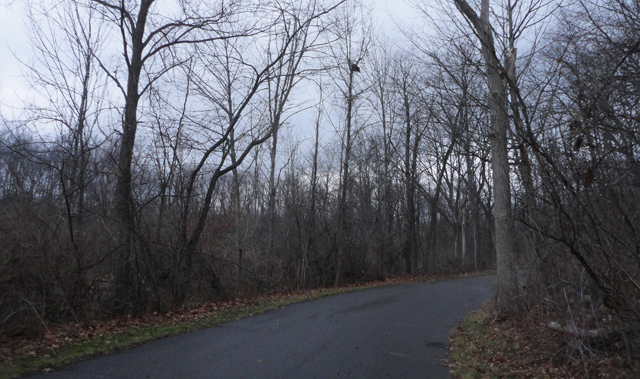 Hiking, hiking! Hike-ity, hike-ity hiiiiike!! 