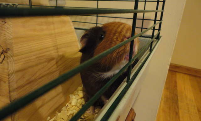 So, I took his picture, too. 