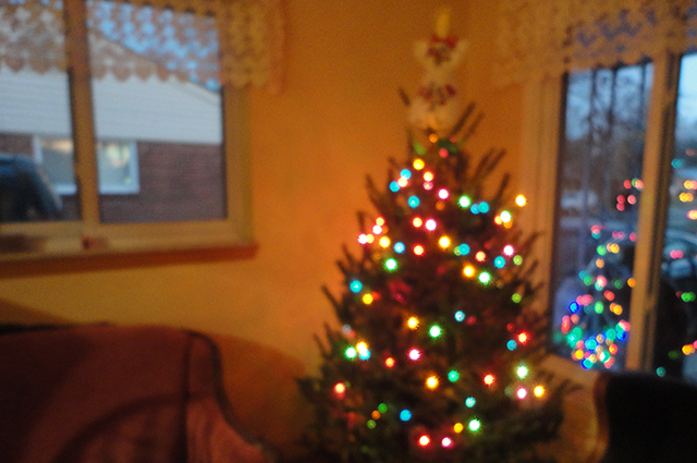 There actually was an in-focus tree, too, buuuut, I thought that the blurry one fit my life better at the moment. "Hey, Advent, I see you there, but I'm not quite able to focus as I would like to."