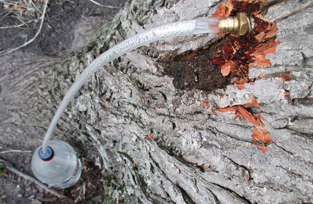 Paul made a great set-up. 