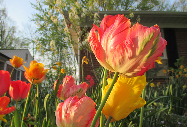 This is the most disjointed post I have ever written. Enjoy. 