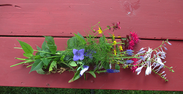 These flowers grew in my garden. Aren't they many levels of wonderful?????