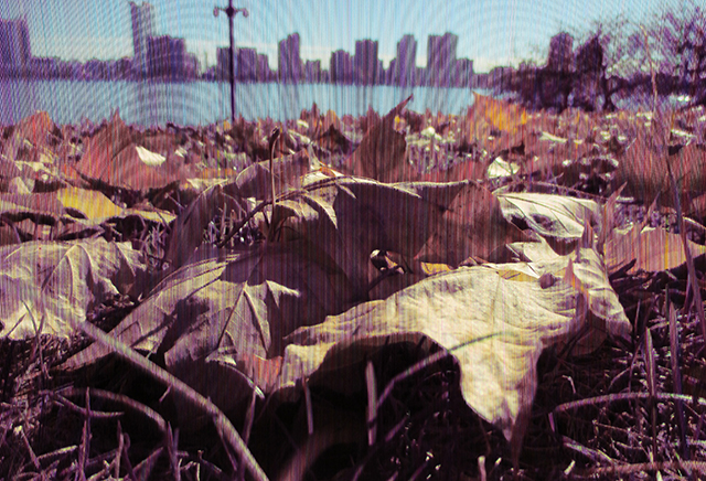 Detroit. And a bit of Canada. 