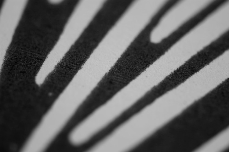 15740008603_ee19d77fef_b