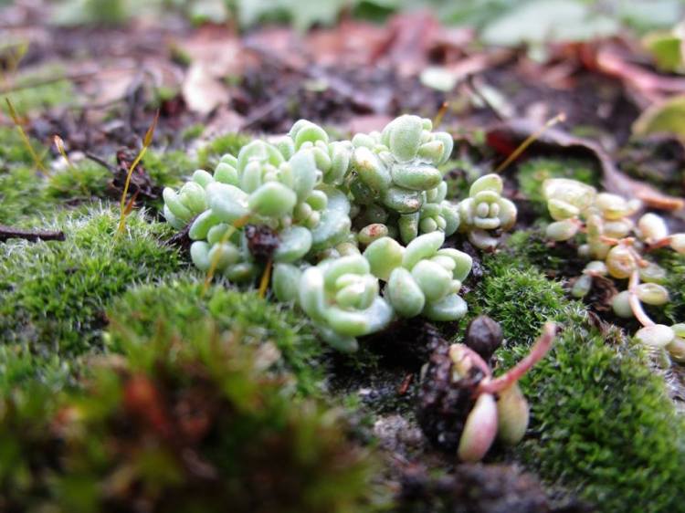 29136379_10155496793842099_6115751048289189888_n