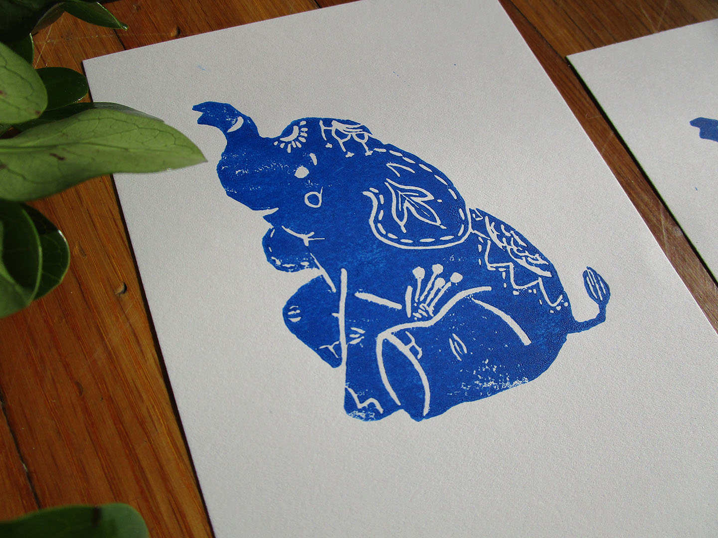 Blue Elephant print
